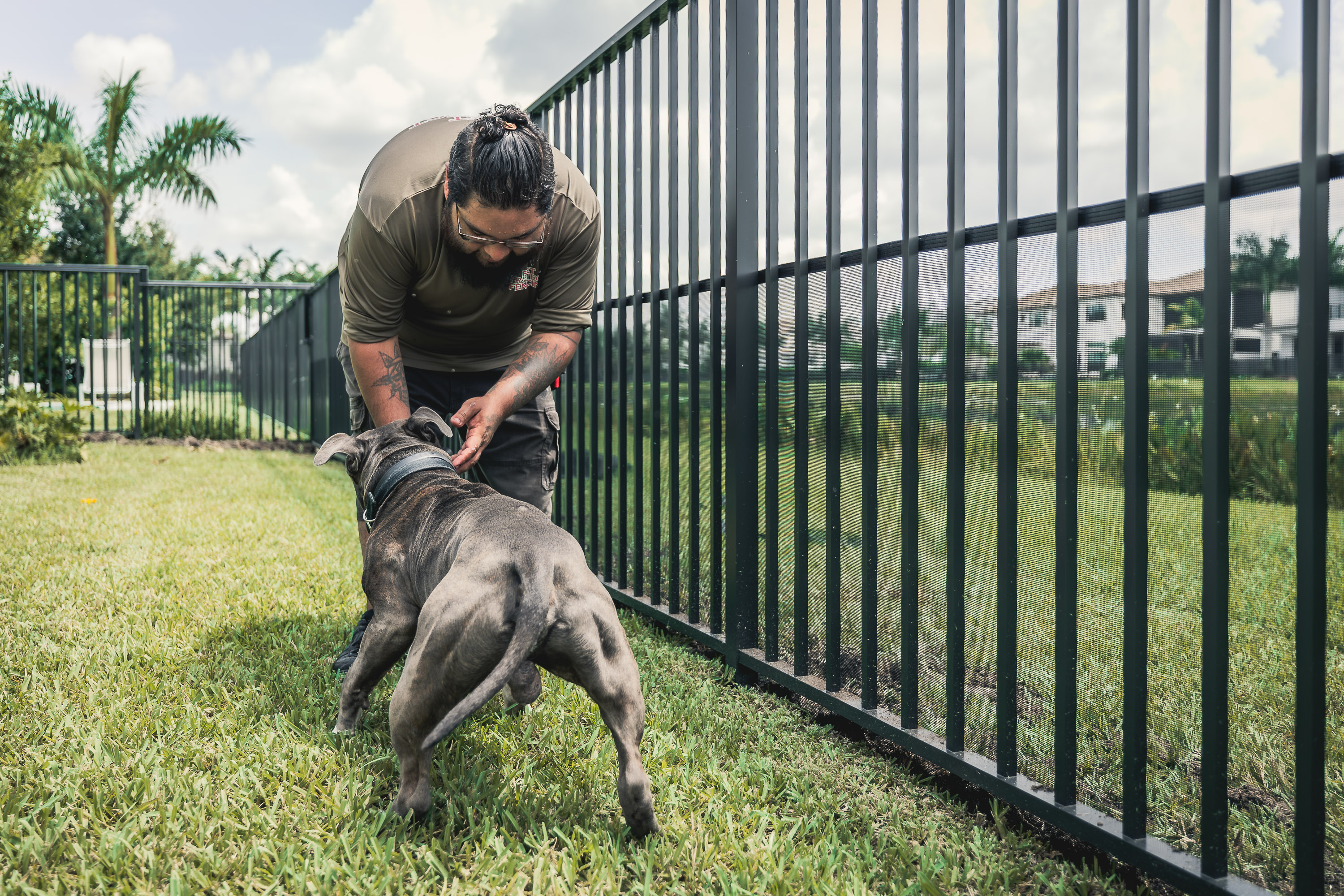 Pet safely protected by custom barrier fencing