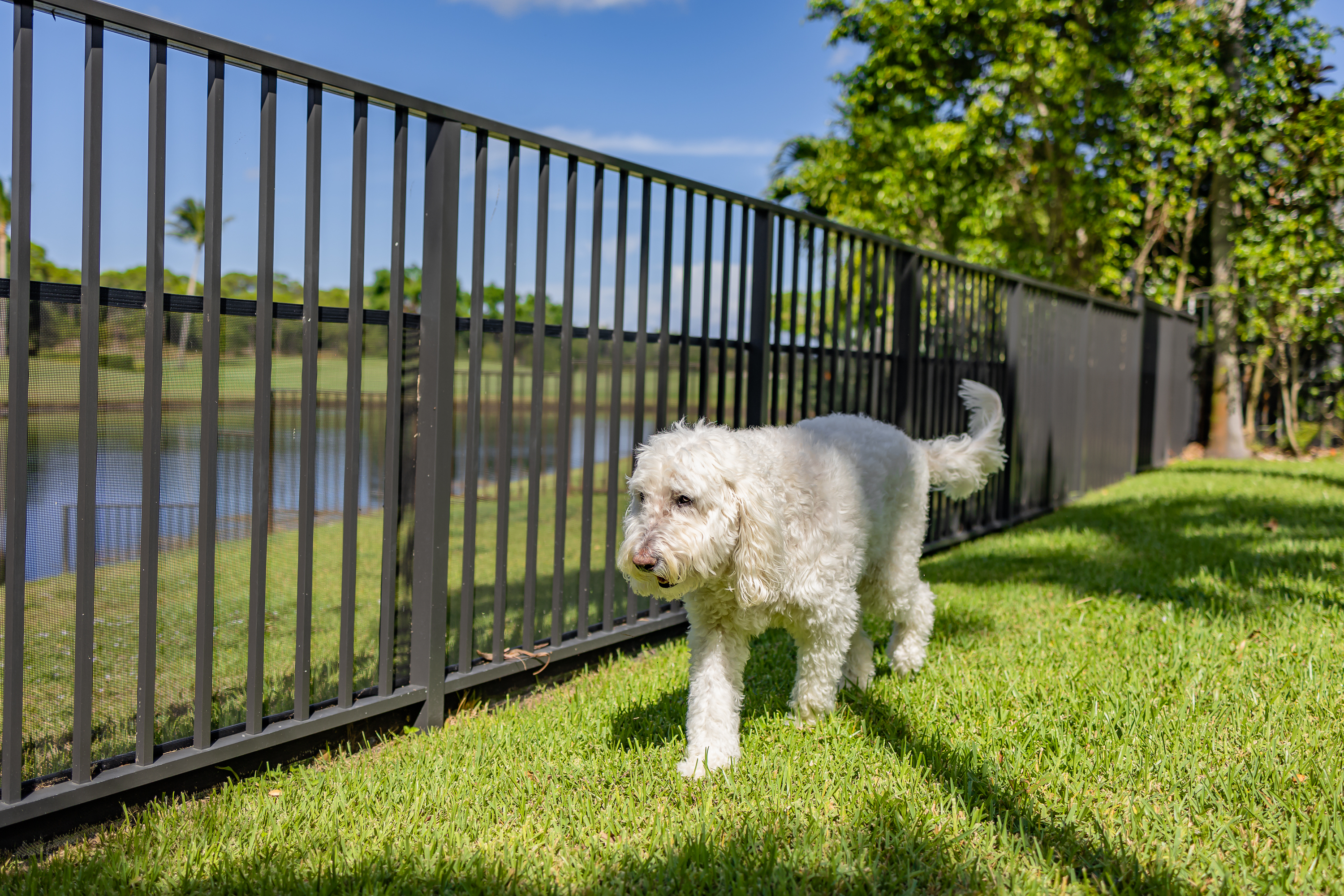 Toad Barrier Fencing Installation