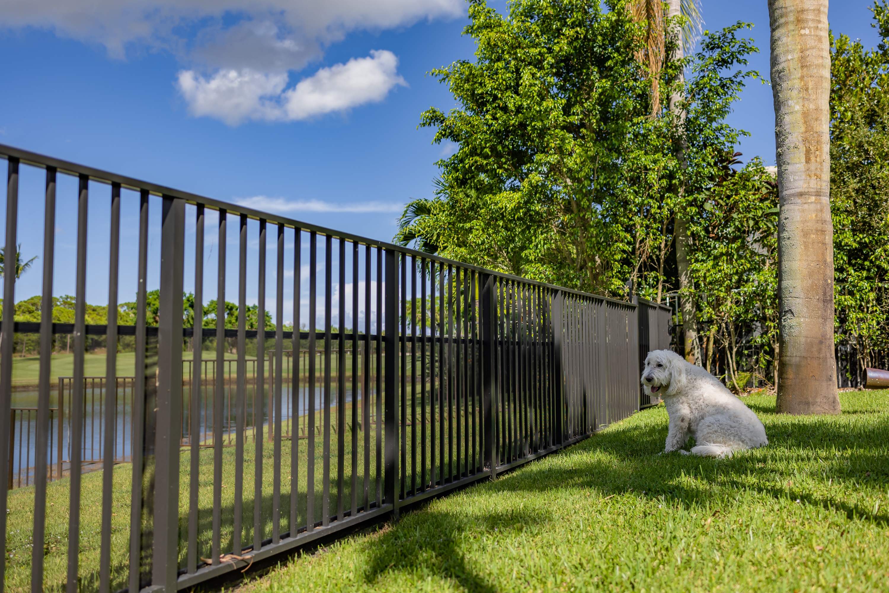 Fence Installation with Protected Dog