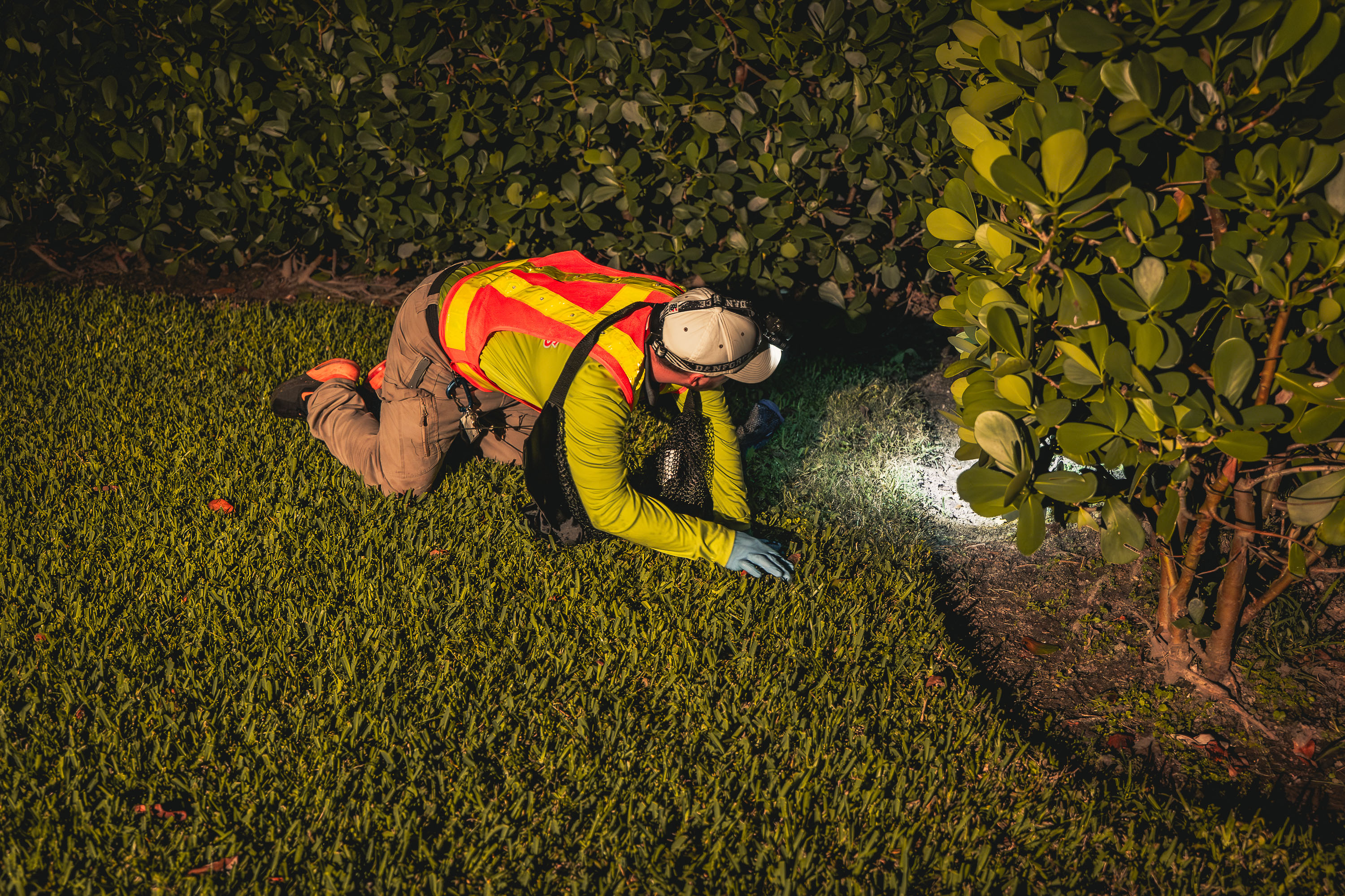 Toad removal technician conducting property inspection