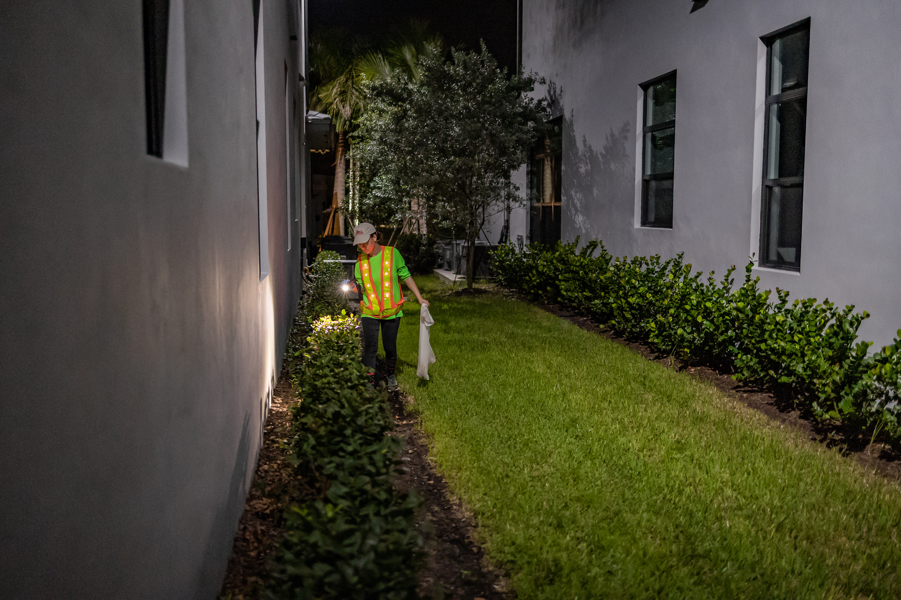 Night Time Toad Inspection