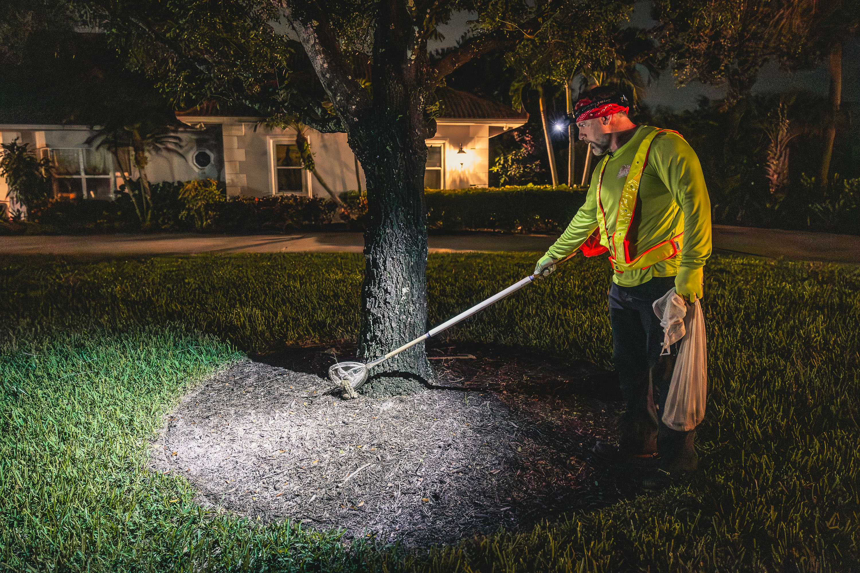 Residential Night Service