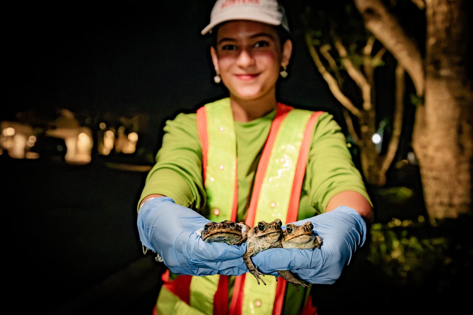Professional toad inspection showing size comparison