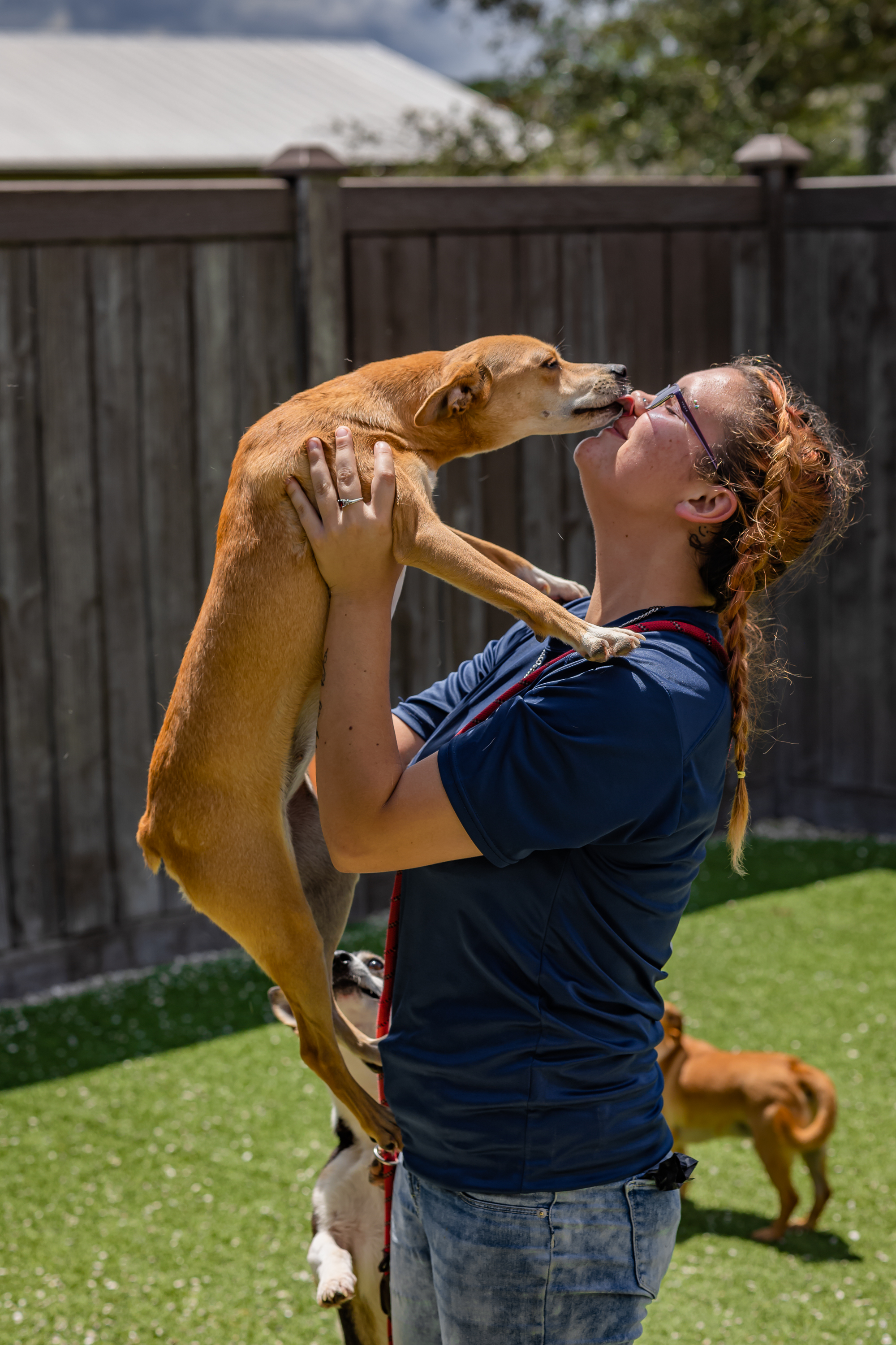 Team Member with Happy Protected Dog