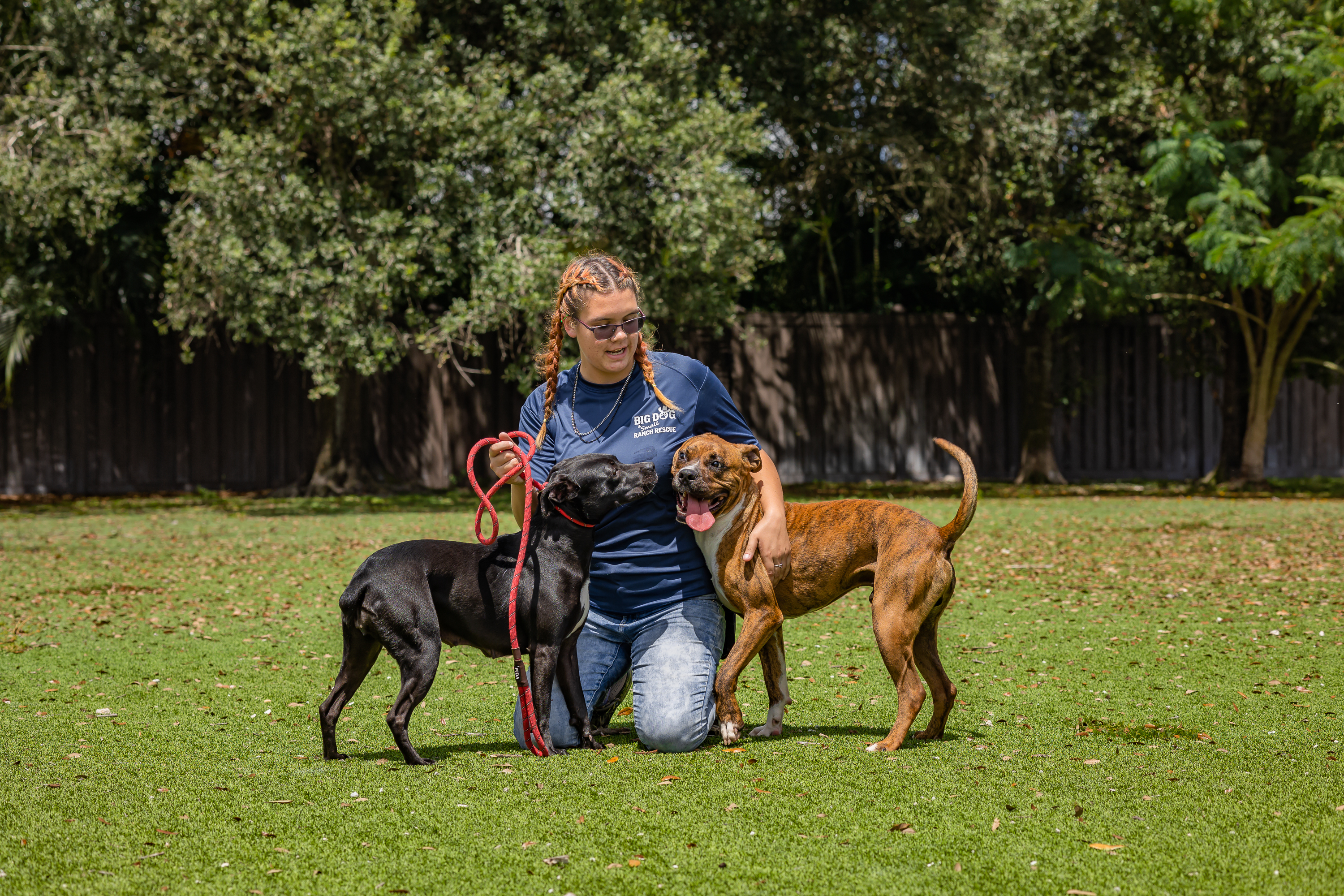 Team Member with Multiple Protected Dogs